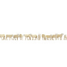 NOCH Noch 15749 Schapen (Schaal H0), 14 figuren