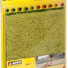 NOCH Noch 07420 Rapsfeld