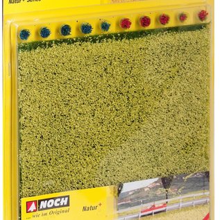 NOCH Noch 07420 Rapsfeld