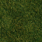 NOCH Noch 07280 Wild Gras lichtgroen, 20 x 23 cm