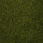 NOCH Noch 07282 Wild Grass Foliage olive green, 20 x 23 cm