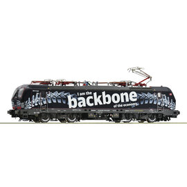 Roco Roco 70315 Electric locomotive 193 318-3, DB AG, DC, era VI (Gauge H0)