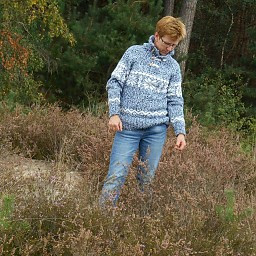 Portugesewol  Norwegian sweater 'Alvega'