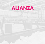 Waalwijk / Alianza