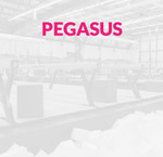 Lemmer / Pegasus