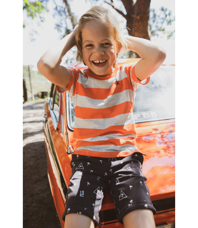 Common Heroes Jongens short - Palms