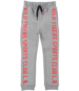 B'Chill Jongens jogging broek - Camiel -  Grijs