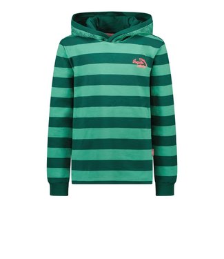 Tygo & Vito Meisjes hoodie - Winter groen