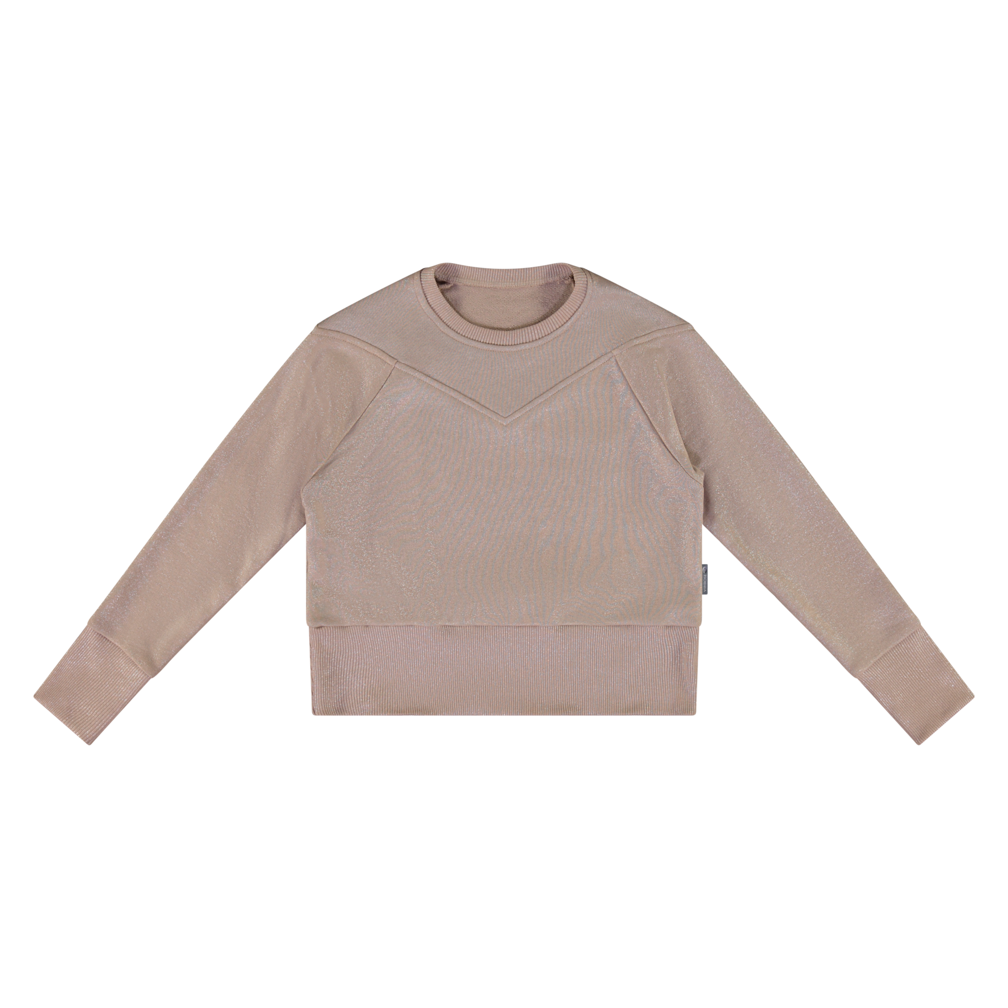 Vinrose Meisjes sweater - Zilver afbeelding