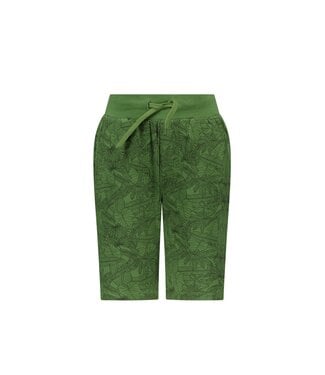 Tygo & Vito Jongens sweat short - Thomas - Groen