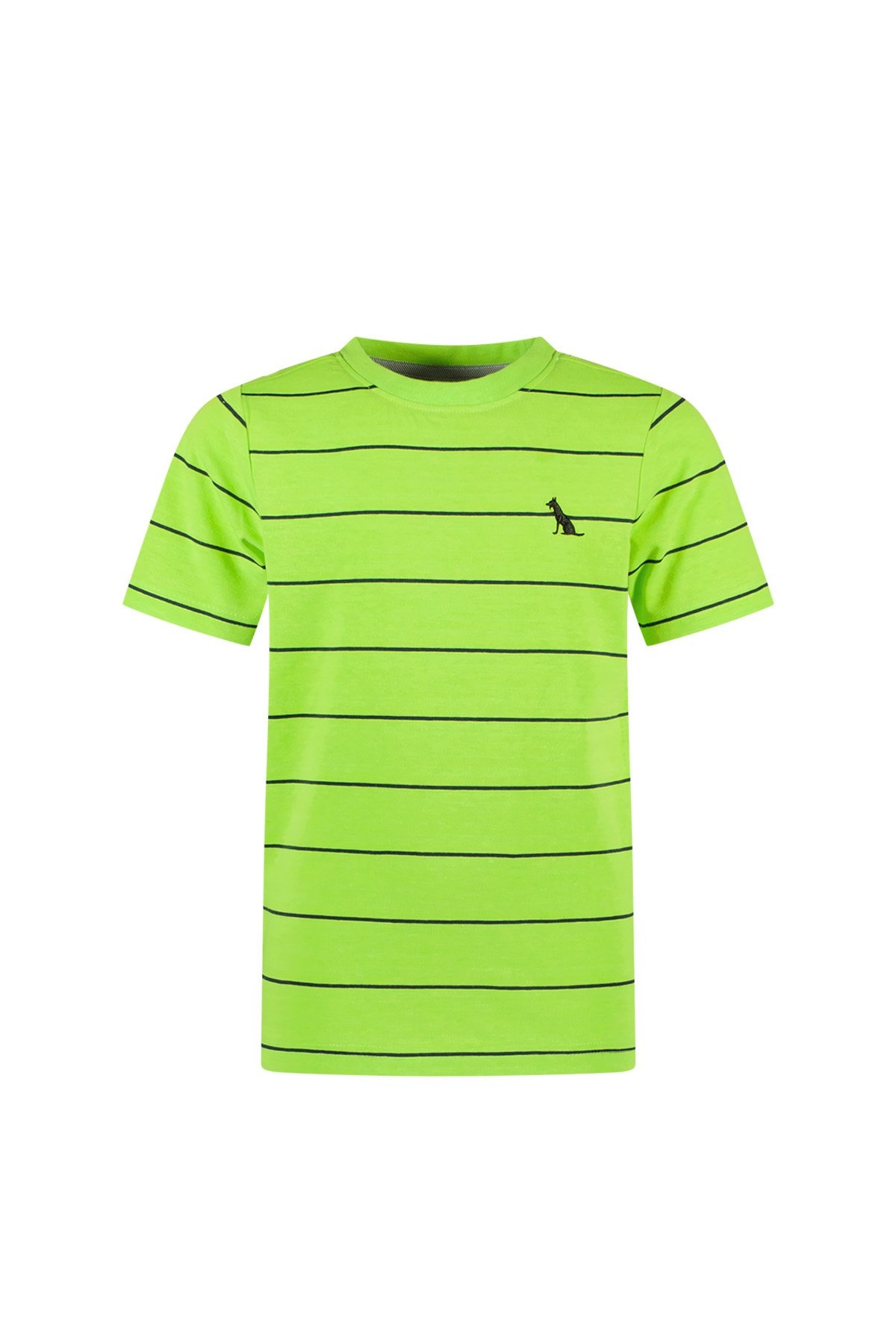 Jongens t-shirt - Jack - Groen gecko