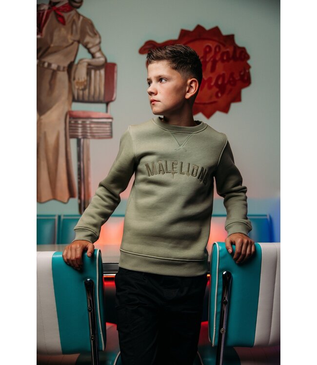 Malelions Sweater paint - Zeegras