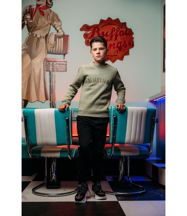 Malelions Sweater paint - Zeegras