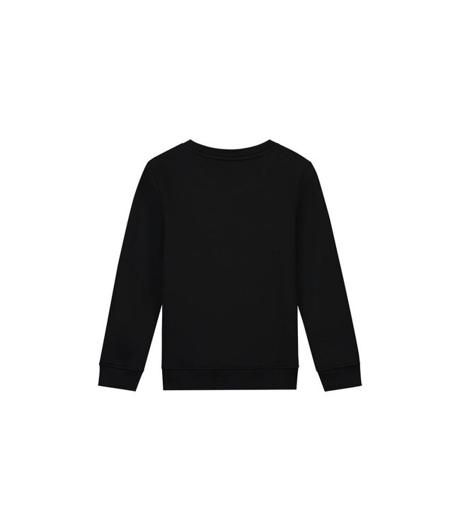 Malelions Sweater paint - Zwart