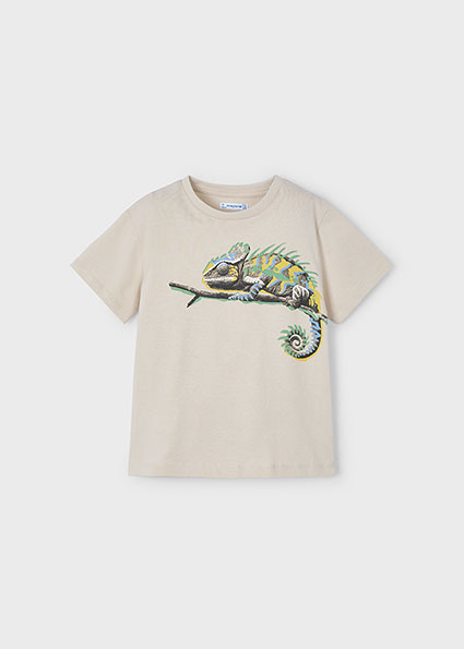 Mayoral Zomer t-shirt S/S jongens - crystal afbeelding