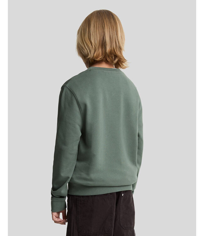 Lyle & Scott winter sweater jongens - Mercurial groen - Tonal