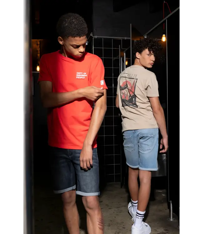 Rellix Zomer T-shirt S/S jongens - zand - print