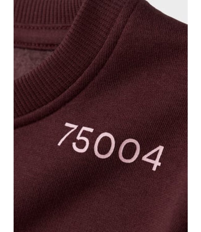 Name it winter sweater meisjes - paars - relaxed fit - NkfOdika