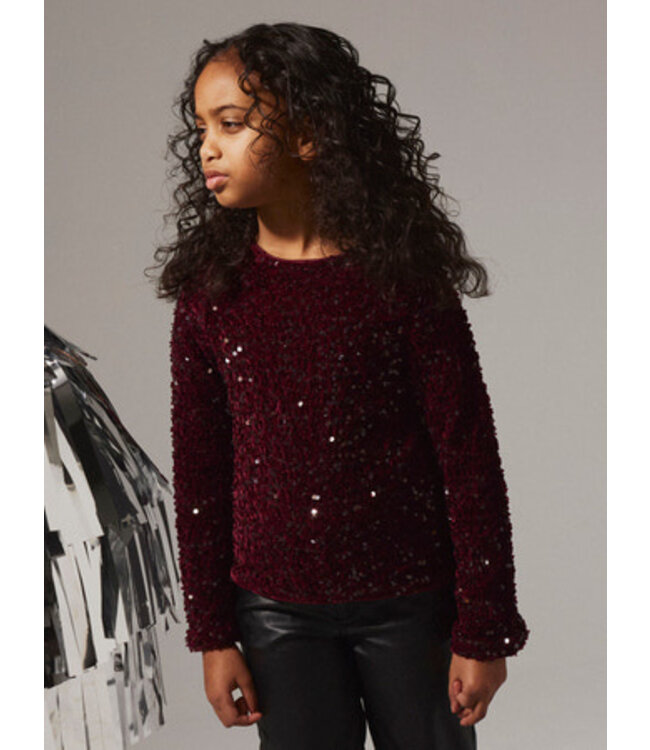 Name it winter blouse meisjes - paars - regular fit - NkfRusitta