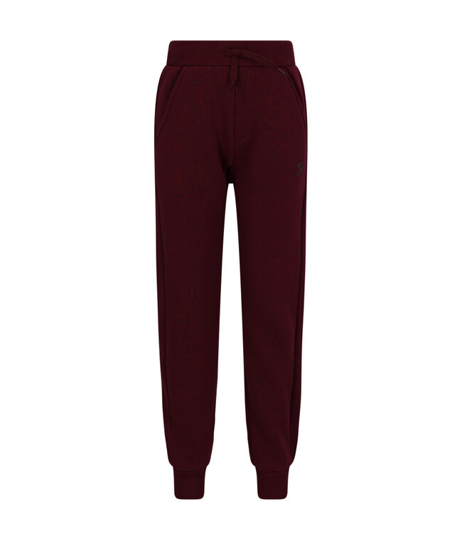 Tygo & Vito winter joggingbroek jongens - bordeaux rood - Boaz