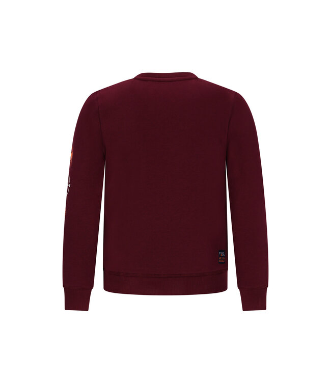 Tygo & Vito winter sweater jongens - bordeaux rood - Sven