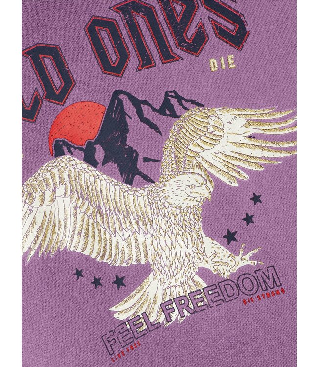 Name it winter sweater meisjes - paars - NkfPnawild