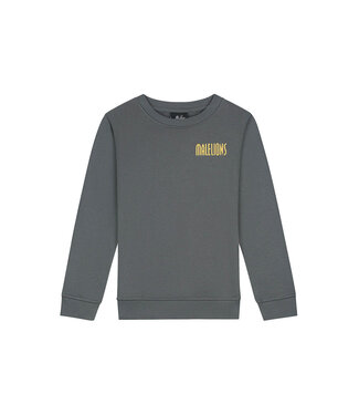 Malelions winter sweater jongens - grijs - hollywood map
