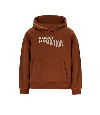 Like Flo winter hoodie jongens - bruin - Dail