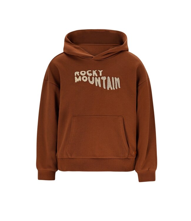 Like Flo winter hoodie jongens - bruin - Dail
