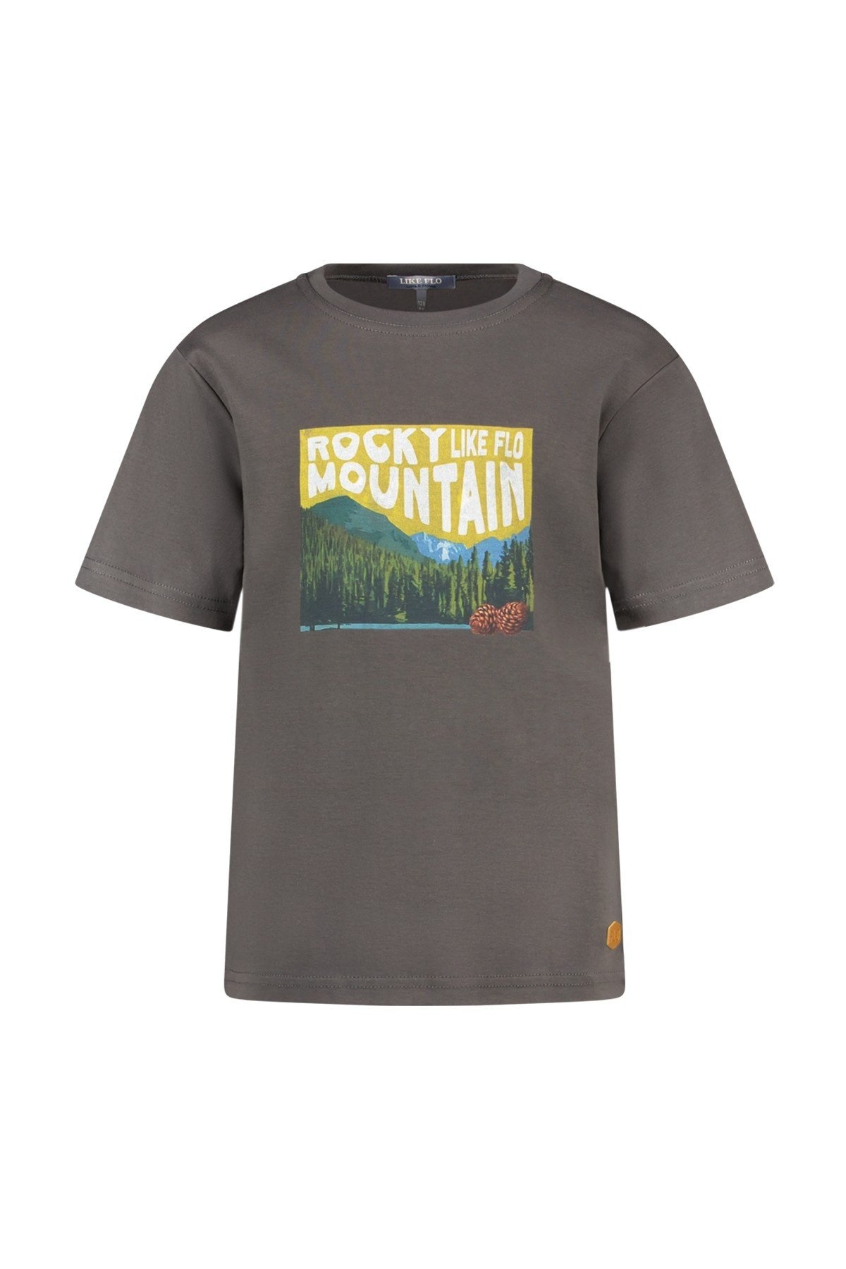 Like Flo winter slub jersey t-shirt jongens - grijs - Eagle afbeelding