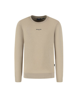 Ballin winter sweater jongens - taupe - animal take over