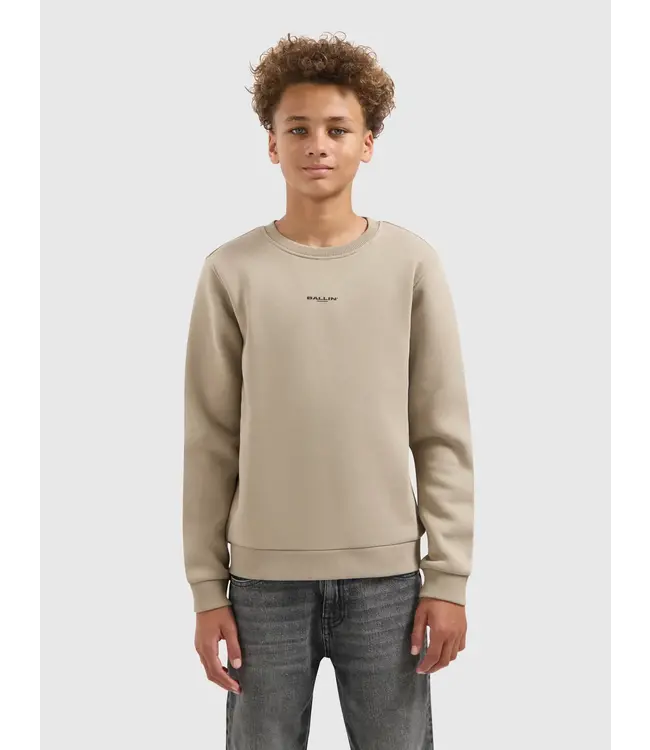 Ballin winter sweater jongens - taupe - animal take over