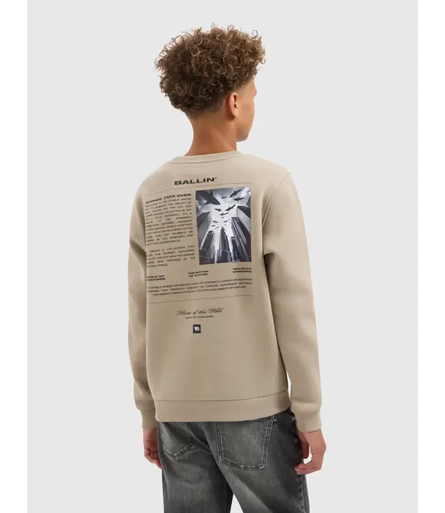 Ballin winter sweater jongens - taupe - animal take over