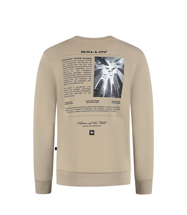 Ballin winter sweater jongens - taupe - animal take over