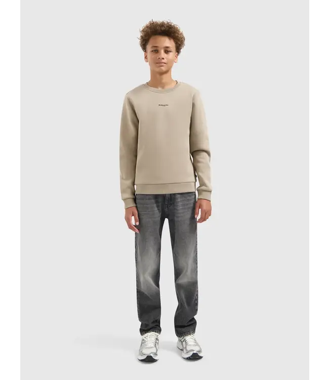 Ballin winter sweater jongens - taupe - animal take over