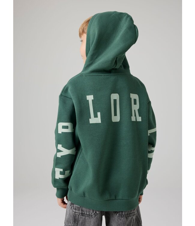 Name it winter sweater jongens - groen - NkmLiam