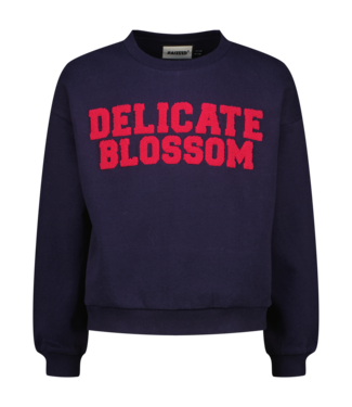 Raizzed zomer sweater meisjes - blauw - Sem Raizzed zomer sweater meisjes - blauw - Sem