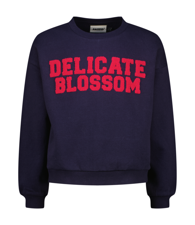 Raizzed zomer sweater meisjes - blauw - Sem