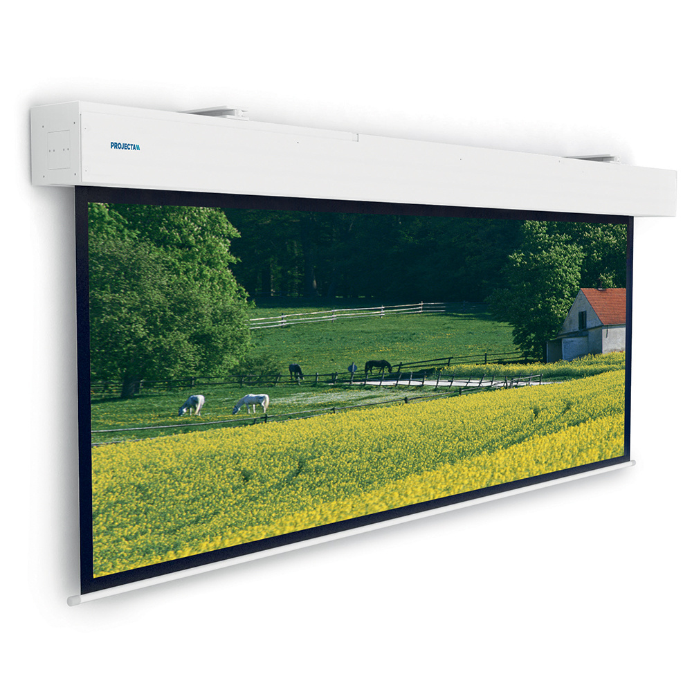 Da-Lite Elpro Large Electrol WS Wide afbeelding