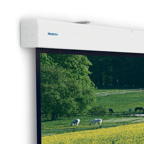 Da-Lite Da-Lite Elpro Large Electrol Mat Wit 4:3 zonder rand Da-Lite Da-Lite Elpro Large Electrol Mat Wit 4:3 zonder rand