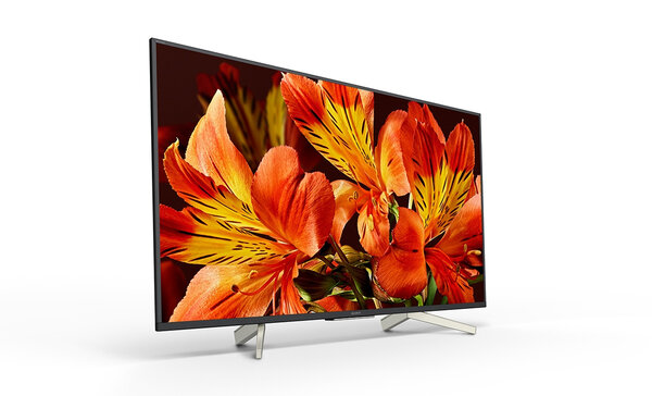 Sony Sony 49" Bravia 4K HDR professional display Sony Sony 49" Bravia 4K HDR professional display