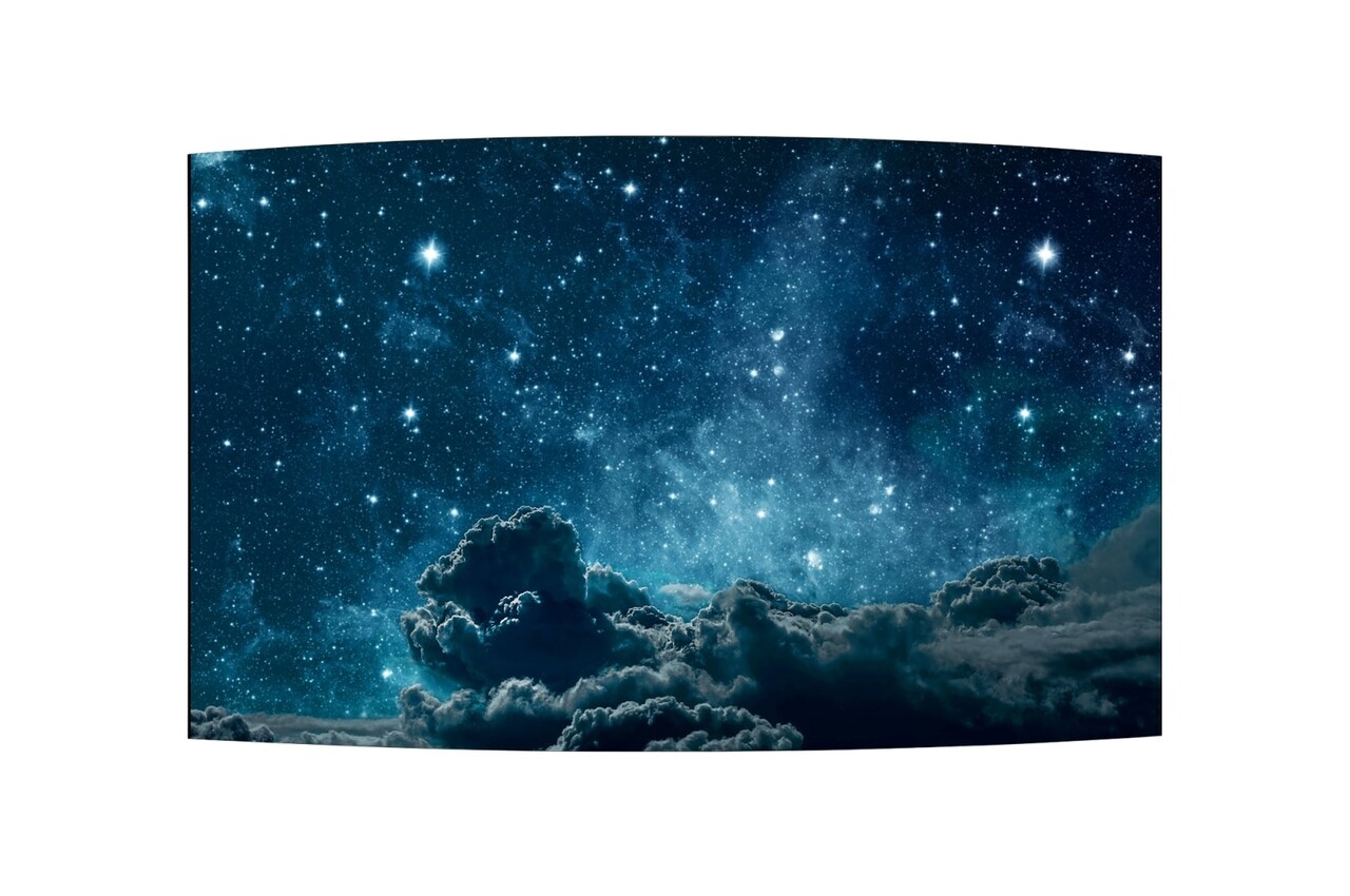 LG LG 55EF5G-L 55 Gebogen OLED-signalisatie LG LG 55EF5G-L 55 Gebogen OLED-signalisatie