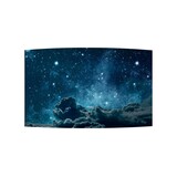 LG LG 55EF5G-L LG LG 55EF5G-L