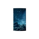 LG LG 55EF5F-P LG LG 55EF5F-P