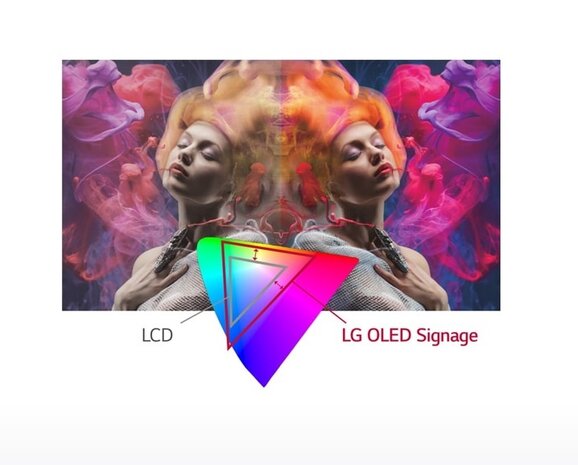 LG LG 65EJ5E 65 inch 4K display