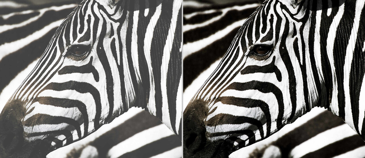 Optoma Optoma ZH606e-W Full HD laser beamer