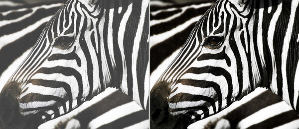 Optoma Optoma ZH606e-W Full HD laser beamer