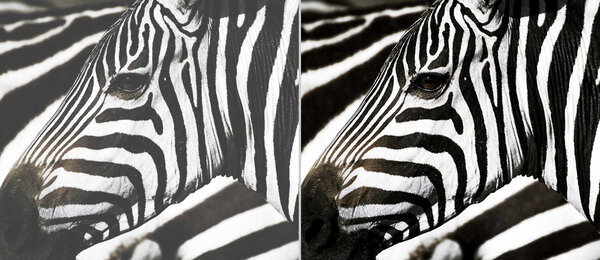 Optoma Optoma ZU606Te WUXGA laser beamer Optoma Optoma ZU606Te WUXGA laser beamer