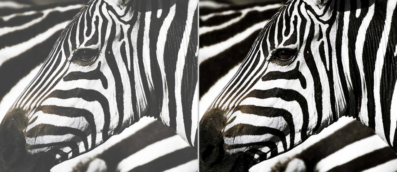 Optoma Optoma DH351 Full HD draagbare beamer met 3600 lumen Optoma Optoma DH351 Full HD draagbare beamer met 3600 lumen