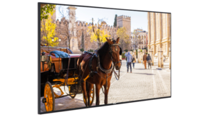 Vestel Vestel VB55B2 Vestel Vestel VB55B2